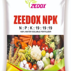 zedox